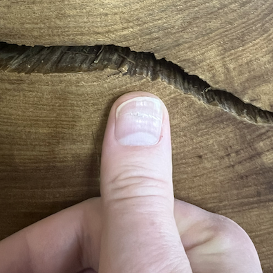 tree slab with thumb
